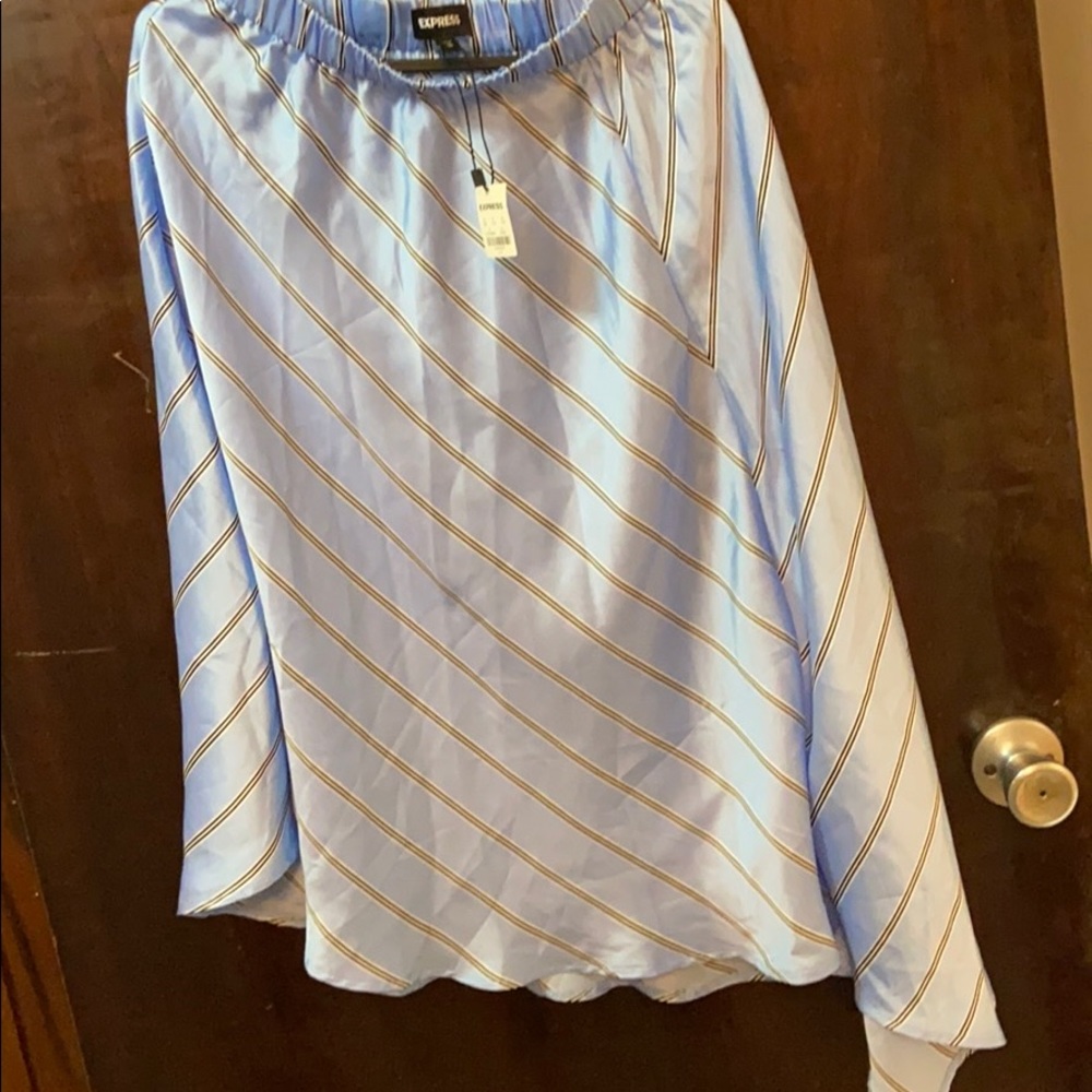 Express Skirt